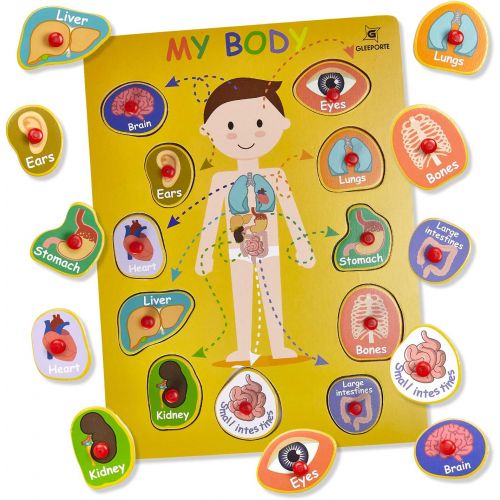  [아마존베스트]Wooden Peg Puzzle, My Body - Inside & Outside Parts - Pack of 2 Learning Educational Pegged Puzzle Boards for Toddler & Kids - (Set of 2) Gleeporte