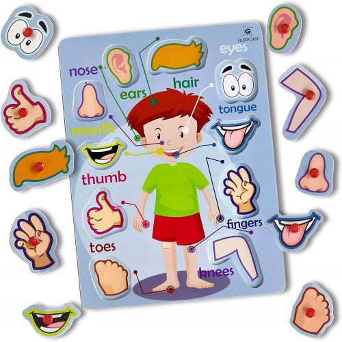  [아마존베스트]Wooden Peg Puzzle, My Body - Inside & Outside Parts - Pack of 2 Learning Educational Pegged Puzzle Boards for Toddler & Kids - (Set of 2) Gleeporte