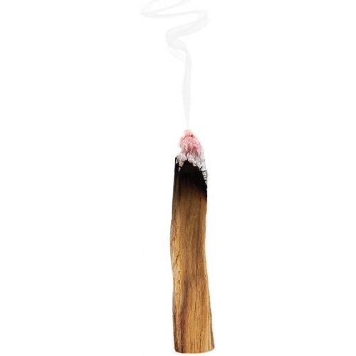  인센스스틱 GloFX Organic Palo Santo Incense Sticks - 20 Pack - Chakra Meditation Cleansing Stress Relief - Sustainably Harvested Incense Burning Sticks
