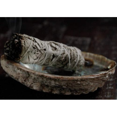  인센스스틱 GloFX White Sage Bundle - 5 Pack - 4 Inches Sustainably Harvested California Smudge Stick Wand for Spiritual Incense Sticks Burning Aromatherapy Energy Cleansing Bundles Healing an