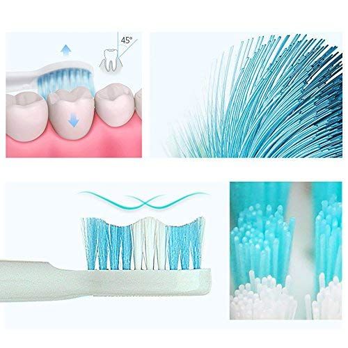  Global Care Market Electric Toothbrush and Teeth Whitening Polisher with High Frequency Sonic 30K Vibration for...