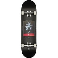 Globe Skateboard Complete Deck G1 Palm Off 8.0 x 31.6 Complete