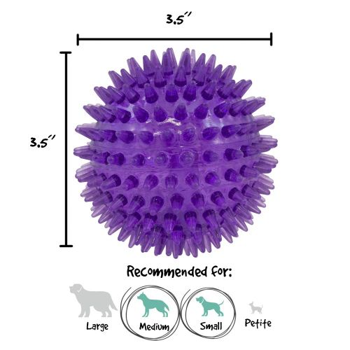  Gnawsome Medium Squeaker Ball Dog Toy, Medium 3.5, Colors will vary