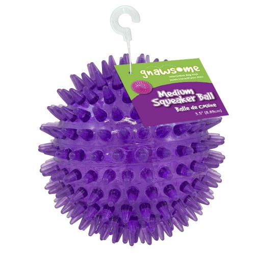  Gnawsome Medium Squeaker Ball Dog Toy, Medium 3.5, Colors will vary