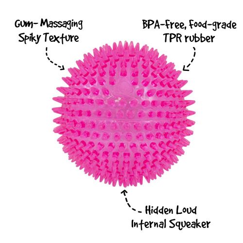  Gnawsome 4.5” Spiky Squeaker Ball Dog Toy - Extra Large, Cleans Teeth and Promotes Good Dental and Gum Health for Your Pet, Colors will vary