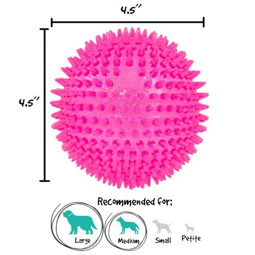  Gnawsome 4.5” Spiky Squeaker Ball Dog Toy - Extra Large, Cleans Teeth and Promotes Good Dental and Gum Health for Your Pet, Colors will vary