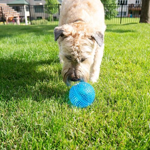  Gnawsome 4.5” Spiky Squeaker Ball Dog Toy - Extra Large, Cleans Teeth and Promotes Good Dental and Gum Health for Your Pet, Colors will vary