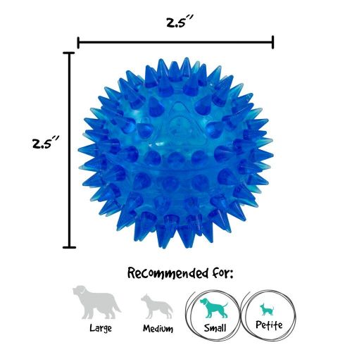  Gnawsome 2.5” Spiky Squeaker Ball Dog Toy - Small, Cleans teeth and Promotes Dental and Gum Health for Your Pet, Colors will vary
