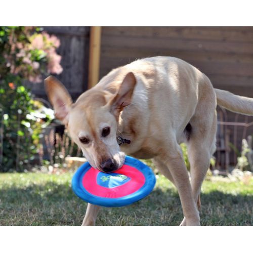  GoDog goDog Retrieval Fetch and Retrieve Dog Toys