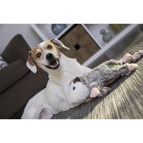  GoDog goDog Flatz Dog Toy with Chew Guard