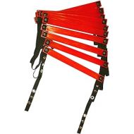GoFit Speed and Agility Ladder - 15 Feet,Red