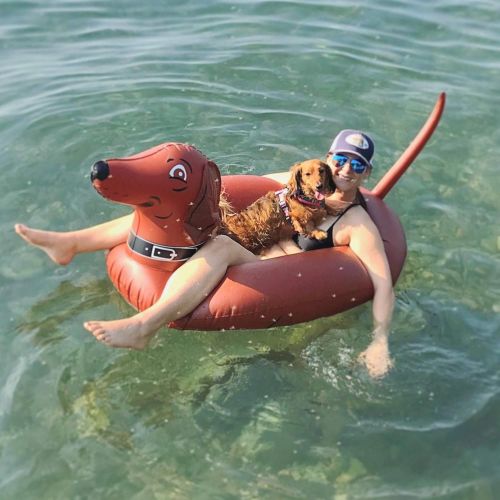  GoFloats Wiener Dog Party Tube Inflatable Raft, Float in Style (for Adults and Kids), Brown