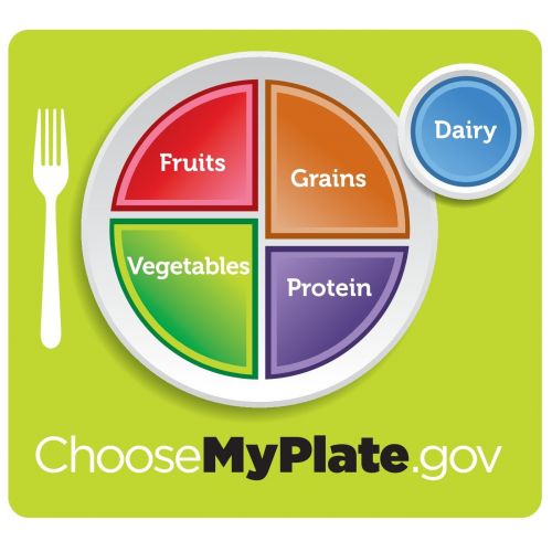  GoHappyPlate Plate - 100% Premium Food-Grade Stainless Steel Plate with Four compartments to serve Fruits, Grains, Protein, and Vegetables, per USDAs dietary guidelines.