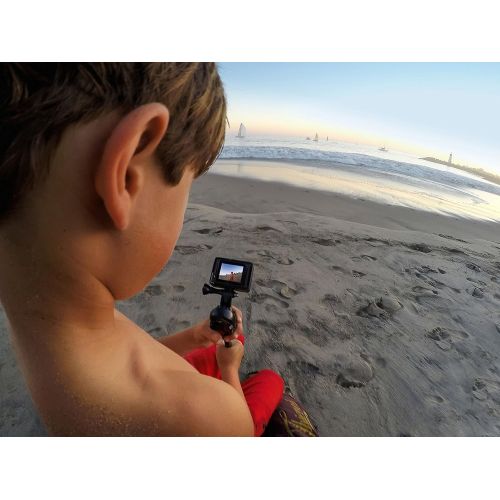 고프로 GoPro LCD Touch BacPac (Camera Not Included) (GoPro Official Accessory)