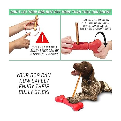  GoSports Chew Champ Bully Stick Holder for Dogs - Securely Holds Bully Sticks to Help Prevent Choking - 6 in or 8 in Size, 1 Count (Pack of 1)