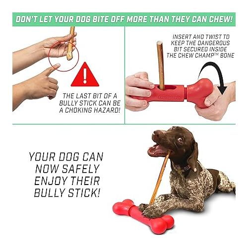  GoSports Chew Champ Bully Stick Holder for Dogs - Securely Holds Bully Sticks to Help Prevent Choking - 6 in or 8 in Size, 1 Count (Pack of 1)