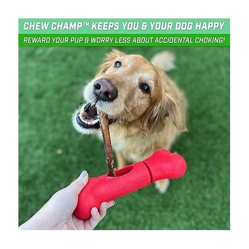  GoSports Chew Champ Bully Stick Holder for Dogs - Securely Holds Bully Sticks to Help Prevent Choking - 6 in or 8 in Size, 1 Count (Pack of 1)