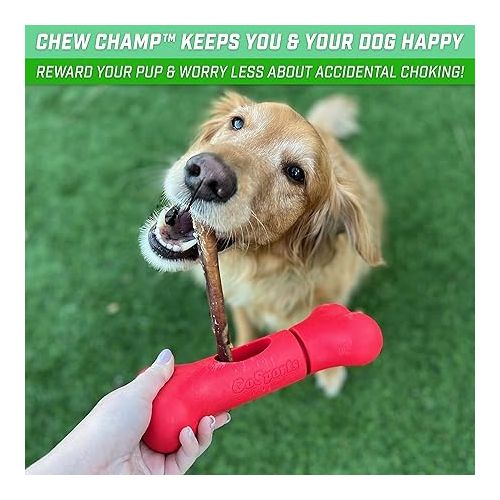  GoSports Chew Champ Bully Stick Holder for Dogs - Securely Holds Bully Sticks to Help Prevent Choking - 6 in or 8 in Size, 1 Count (Pack of 1)