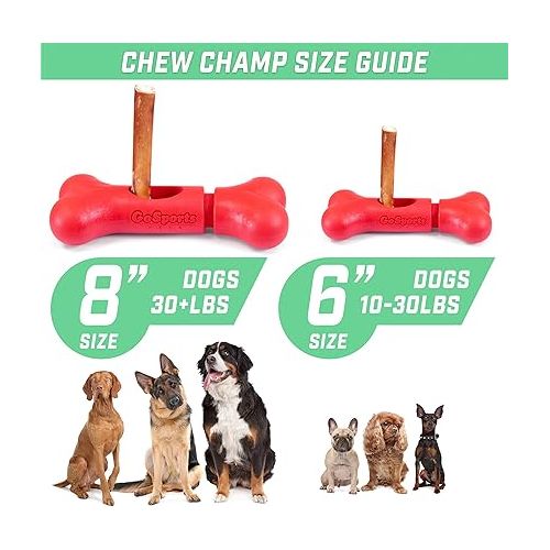  GoSports Chew Champ Bully Stick Holder for Dogs - Securely Holds Bully Sticks to Help Prevent Choking - 6 in or 8 in Size, 1 Count (Pack of 1)