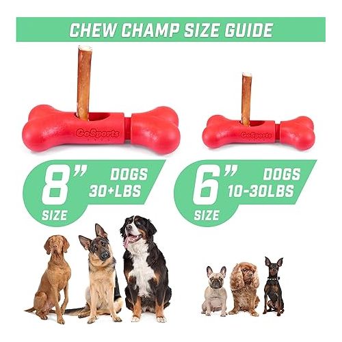  GoSports Chew Champ Bully Stick Holder for Dogs - Securely Holds Bully Sticks to Help Prevent Choking - 6 in or 8 in Size, 1 Count (Pack of 1)