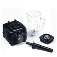 GoWISE USA 1450W High-Performance 2 Horse Power Professional Blender