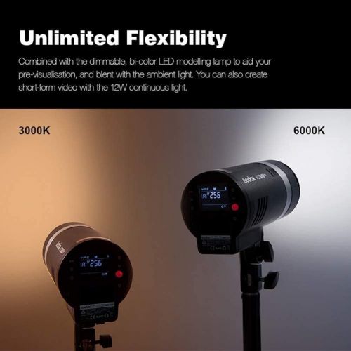  Godox AD300Pro AD300 Pro TTL Studio Flash 300Ws 2.4G HSS 1 / 8000s Outdoor Strobe with 2600mAh Lithium Battery,320 Full Power Flashes Compatible for Nikon Canon Sony Fuji Olympus P