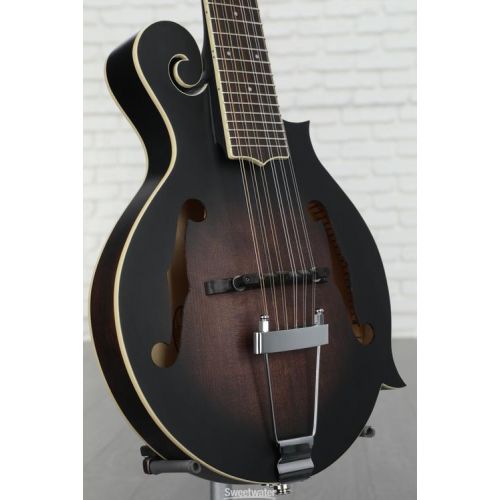  Gold Tone F-12 12-string Acoustic-electric Mando-Guitar - Tobacco Sunburst
