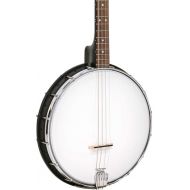 Gold Tone AC-4 IT Acoustic Composite 4-string Open-back Irish Tenor Banjo