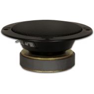 [아마존베스트]Goldwood Sound, Inc. Goldwood Sound 100 Watt 8ohm Sealed 5.25 Speaker Midrange Black (GM-65/8)