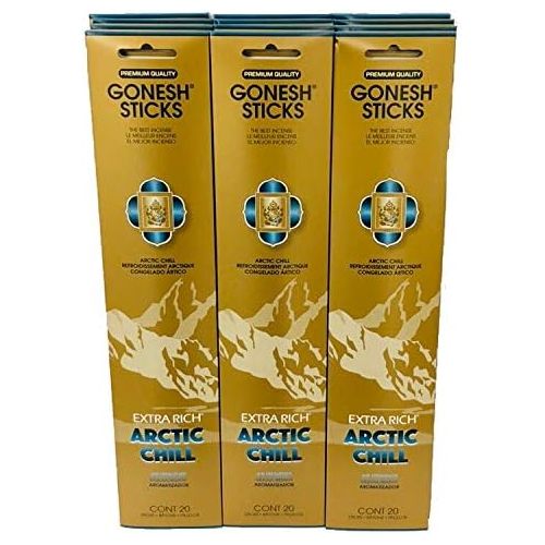  인센스스틱 Gonesh - 12 Arctic Chill Pack (240 Sticks) Incense Sticks Extra Rich Collection