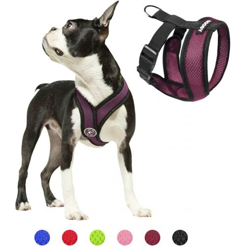  Gooby - Comfort X Head-in Harness, Small Dog Harness with Patented Choke Free X Frame