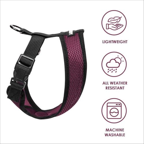  Gooby - Comfort X Head-in Harness, Small Dog Harness with Patented Choke Free X Frame