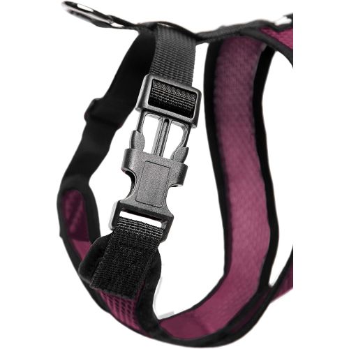  Gooby - Comfort X Head-in Harness, Small Dog Harness with Patented Choke Free X Frame