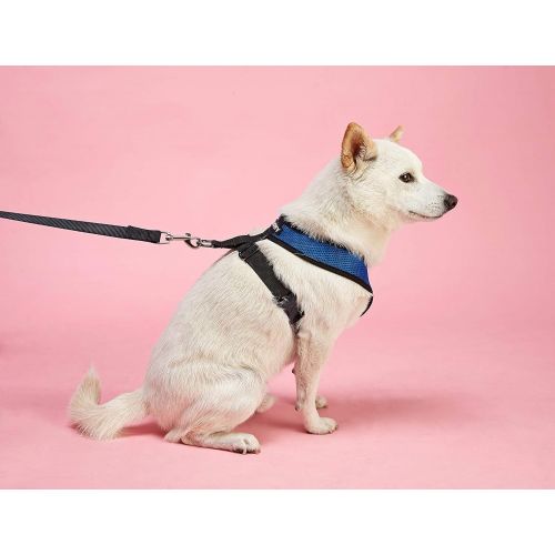  Gooby - Comfort X Head-in Harness, Small Dog Harness with Patented Choke Free X Frame