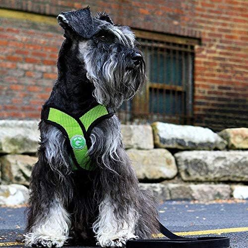  Gooby - Comfort X Step-in Harness, Small Dog Harness with Patented Choke Free X Frame