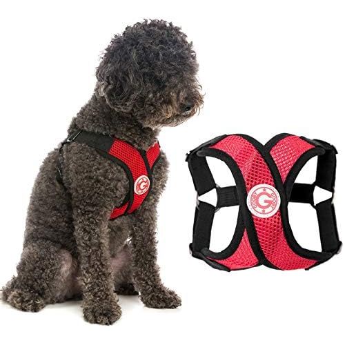  Gooby - Comfort X Step-in Harness, Small Dog Harness with Patented Choke Free X Frame