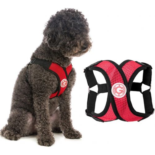  Gooby - Comfort X Step-in Harness, Small Dog Harness with Patented Choke Free X Frame