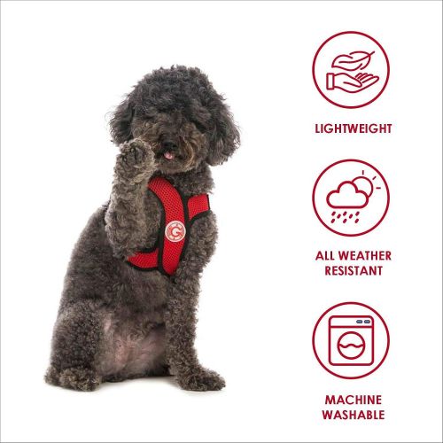  Gooby - Comfort X Step-in Harness, Small Dog Harness with Patented Choke Free X Frame