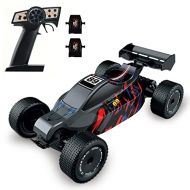 GoolRC F4 RC Car, 1:24 Scale Remote Control Car, 2WD 2.4GHz High Speed RC Racing Car with Electronic Stability System and 2 Battery for Kids and Adults