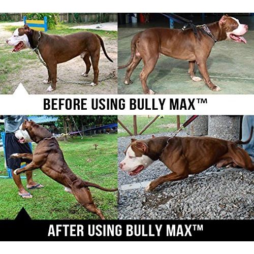  Gorilla Max HDP Gorilla MAX Protein Muscle Supplement for Dogs