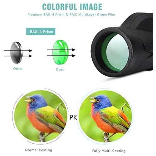  [아마존베스트]GothicBride Monocular Starscope Telescope, 80 x 100 High Power, HD Monocular with Smartphone Holder and Tripod, Waterproof Monocular for Bird Watching, Camping, Hiking, Travelling, Hunting