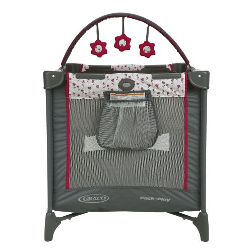 그라코 Graco Pack n Play On the Go Playard with Bassinet, Stratus