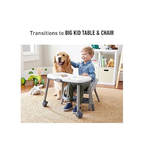 그라코 Graco® Table2Table LX 6-in-1 Highchair, Arrows