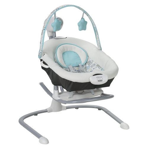 그라코 Graco Duet Sway Swing with Portable Rocker, Roam