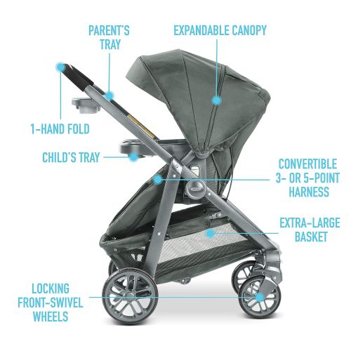 그라코 Graco Modes Bassinet Stroller, Includes Reversible Seat, Cutler