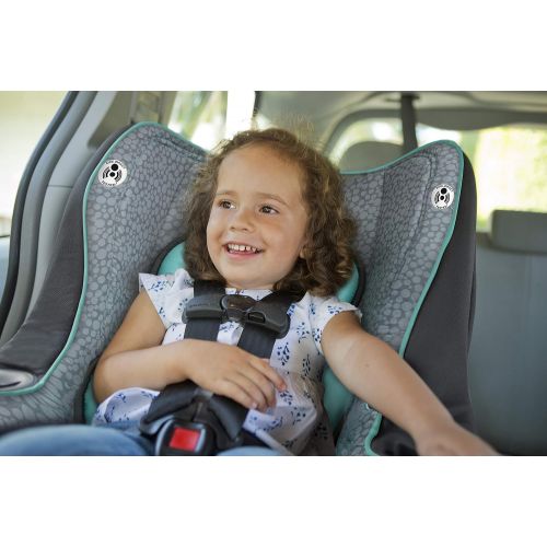 그라코 GRACO Graco My Ride 65 Convertible Car Seat, Sully