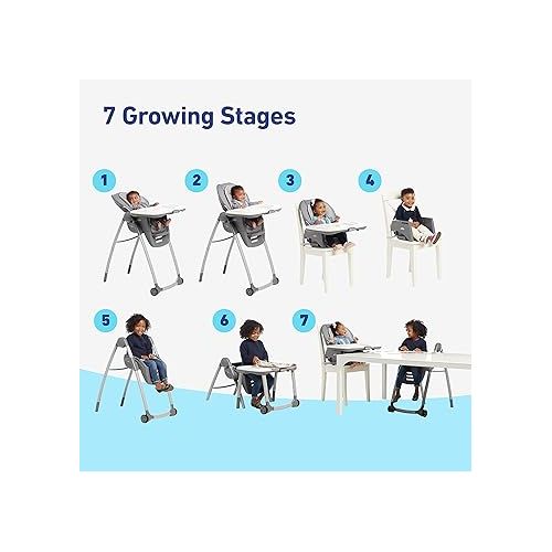 그라코 Graco Table2Table Premier Fold 7 in 1 Convertible High Chair | Converts to Dining Booster Seat, Kids Table, and More, Maison
