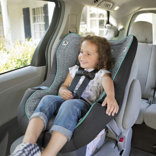 그라코 [아마존베스트]Graco My Ride 65 Convertible Car Seat, Sully, One Size