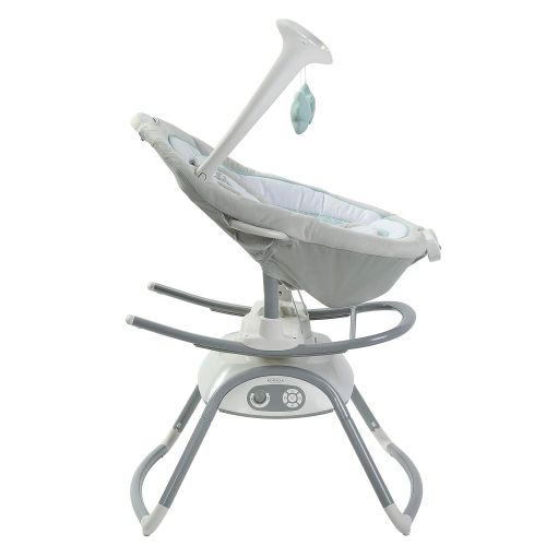 그라코 [아마존베스트]Graco Duet Glide Gliding Swing with Portable Rocker, Winfield