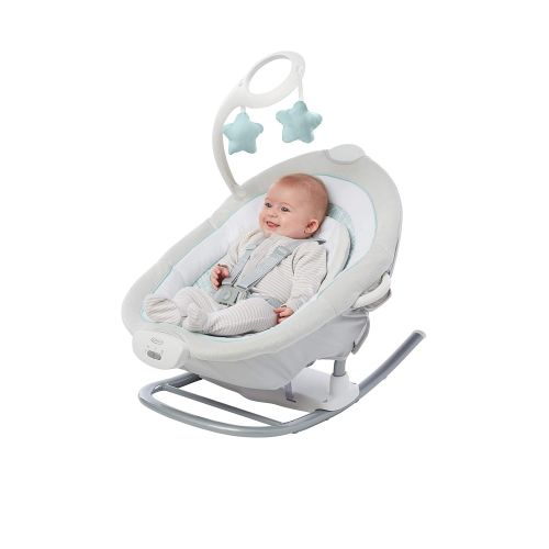 그라코 [아마존베스트]Graco Duet Glide Gliding Swing with Portable Rocker, Winfield